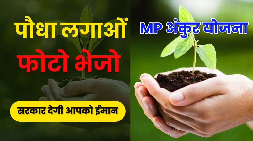 MP Ankur Yojana